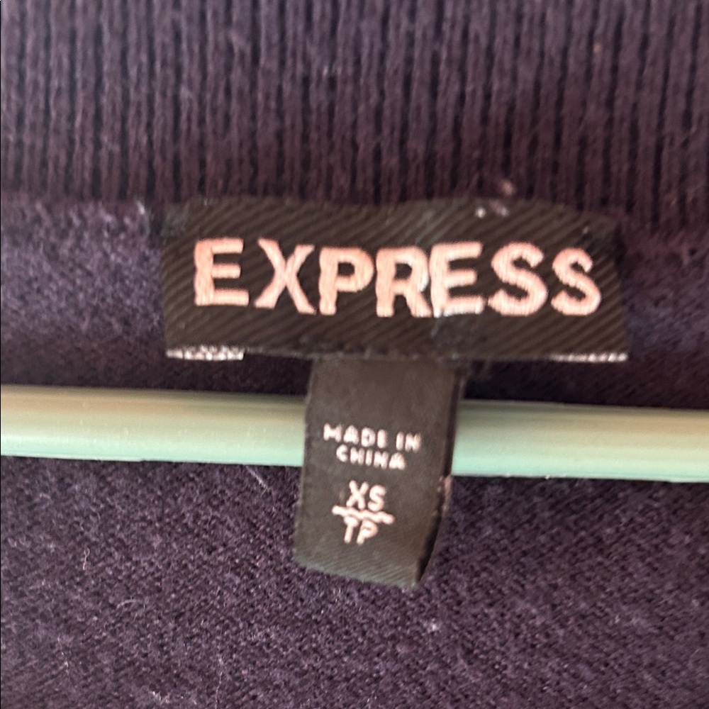 Express Deep Purple Knit Top